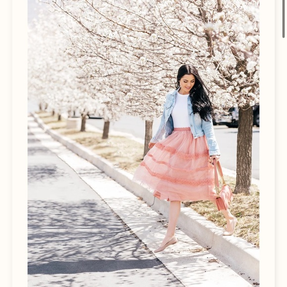 Rachel Parcell NEW pink Versailles tulle Swiss dot skirt sz XS Bridgerton midi - Picture 4 of 12